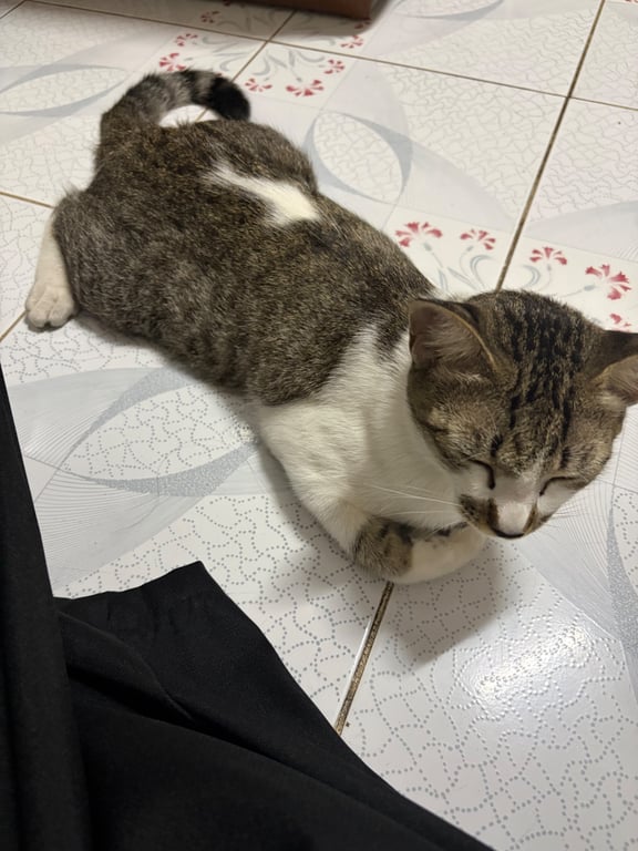 วินเทอร์