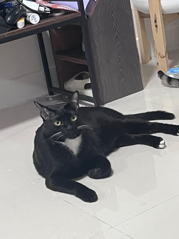ไมตี้
