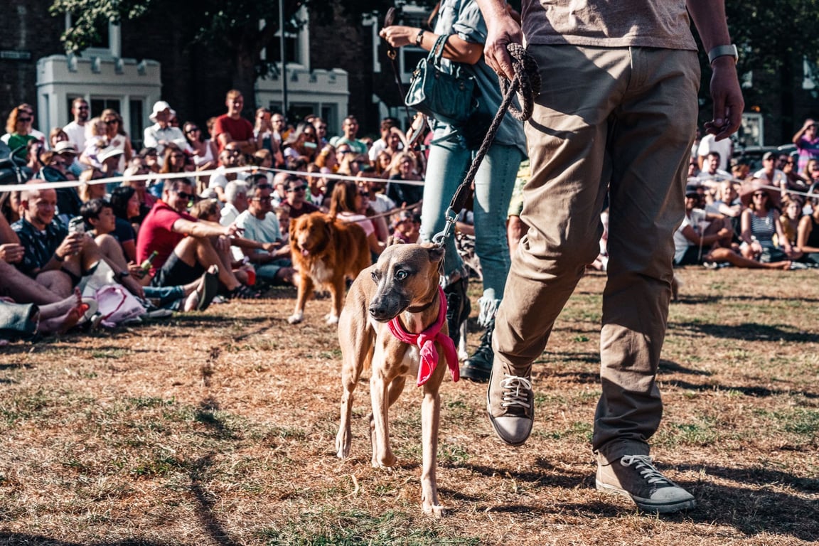 Dog Community 2012 งานสุดยิ่งใหญ่สำหรับคนรักสุนัข 11-14 ตุลาคมที่เซนทรัล แจ้งวัฒนะ