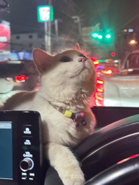 ขาว