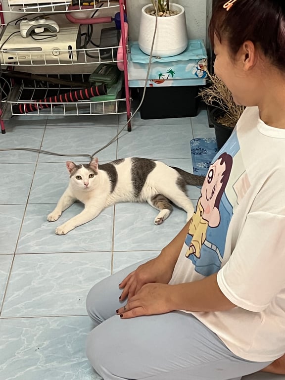 กะปิ