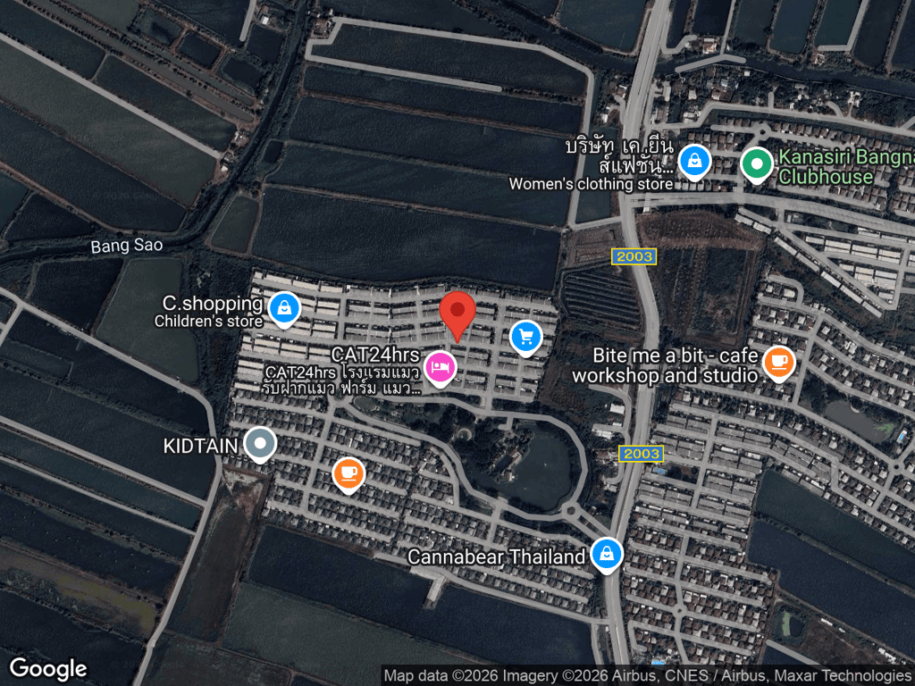 สถานที่หายของสโนว์