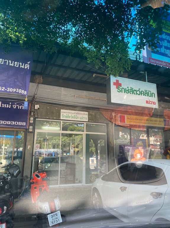 รักษ์สัตว์คลินิกแม่วาง(ตรงข้าม ปตท.บ้านกาด)