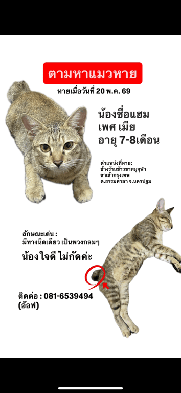 แฮม