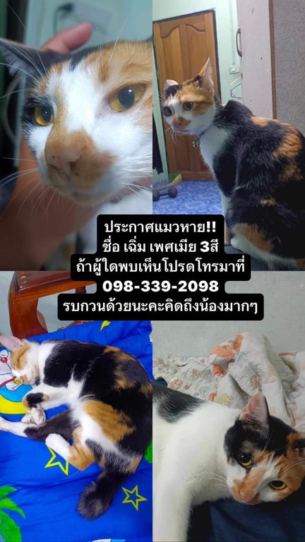 น้องชื่อเฉิ่ม
