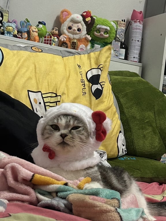 อัญชัญ