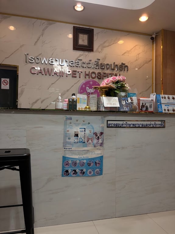 โรงพยาบาลสัตว์เลี้ยงน่ารัก 24 ชั่วโมง