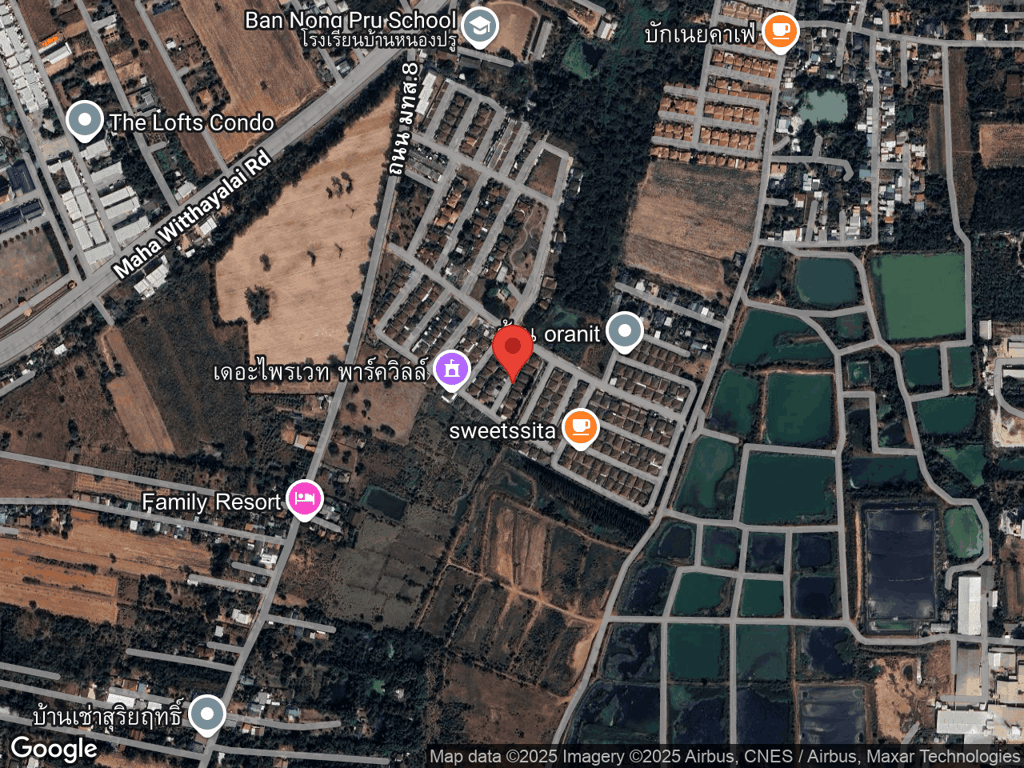 สถานที่หายของเต้าเจี้ยว