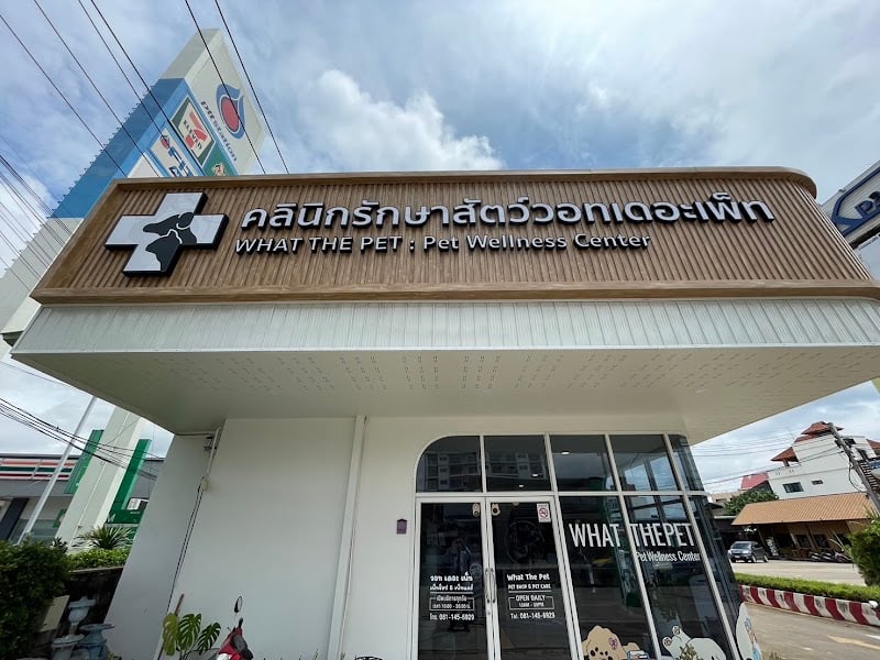 คลินิกรักษาสัตว์วอทเดอะเพ็ท What The Pet : Pet Wellness Center