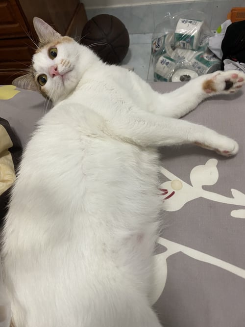 มินู