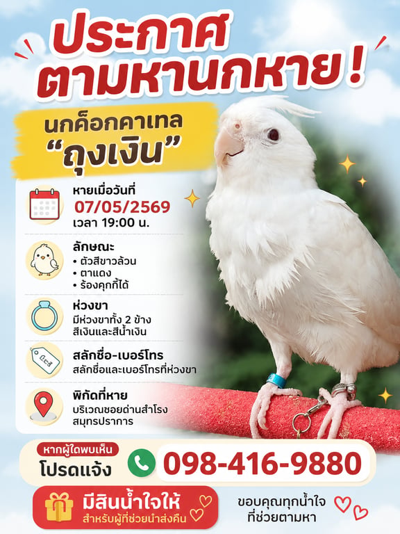 ถุงเงิน