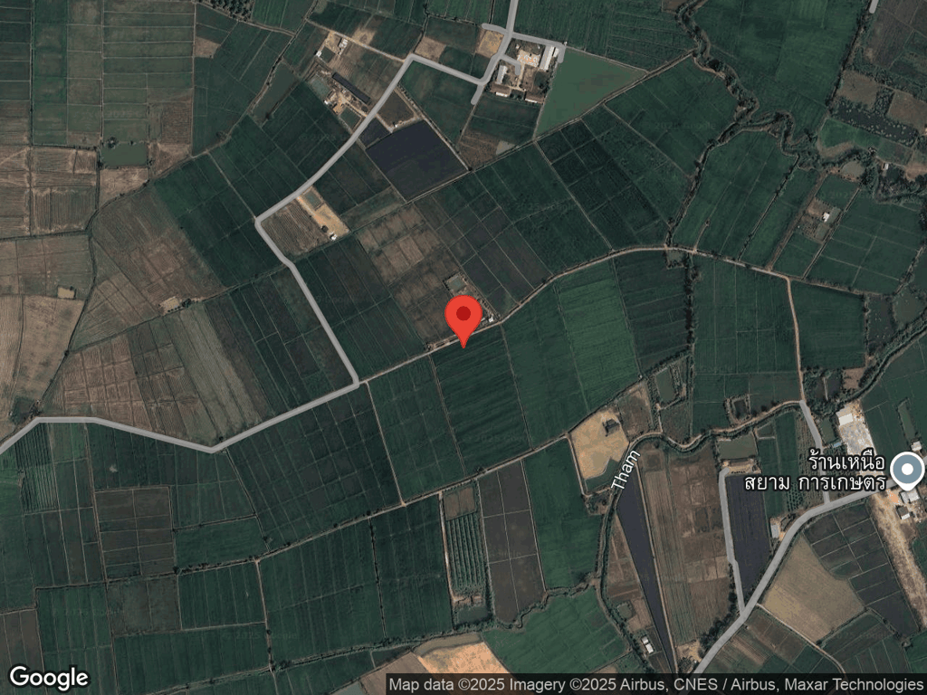 สถานที่หายของดอร์ล่า