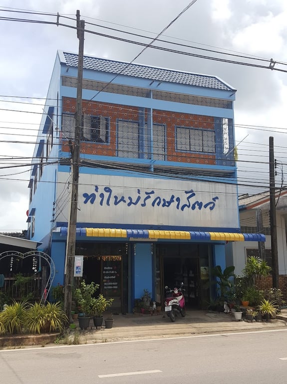 ท่าใหม่รักษาสัตว์