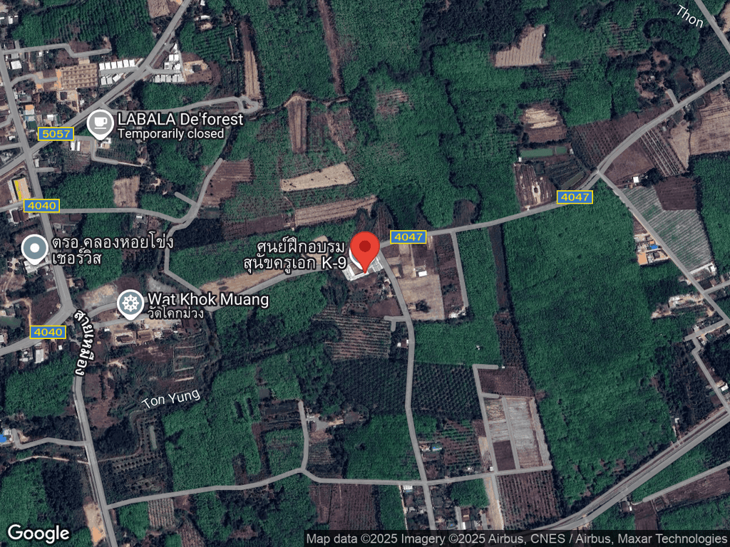 สถานที่หายของบิ๊ก