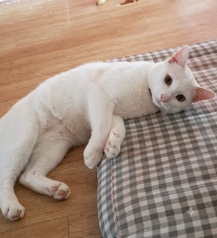 น้องซีเคร็ท