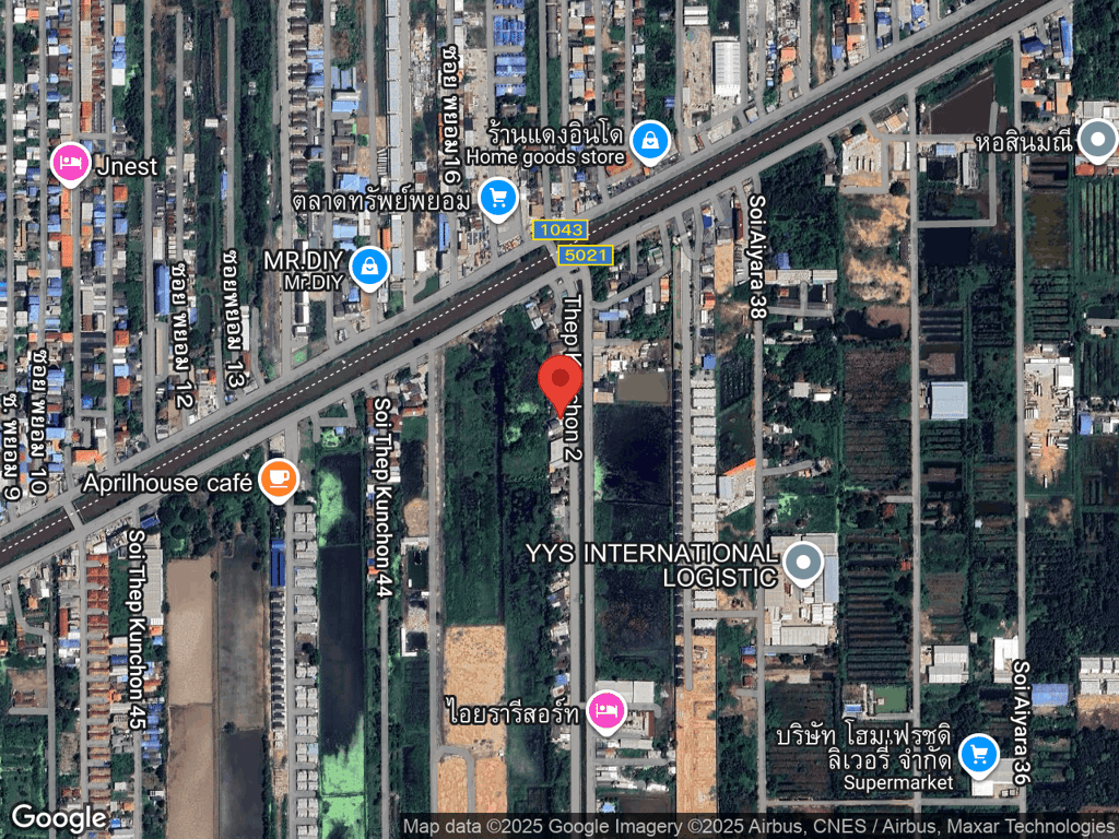 สถานที่หายของปลาหมึก