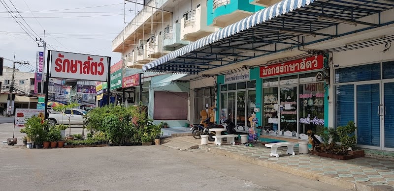 โรงพยาบาลสัตว์มังกรรักษาสัตว์