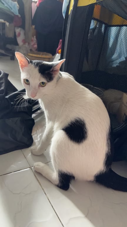 ซันโซ่