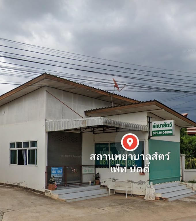 สถานพยาบาลสัตว์ เพ็ท บัดดี้
