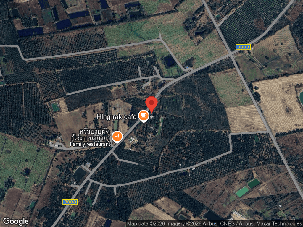 สถานที่หายของสิงโต