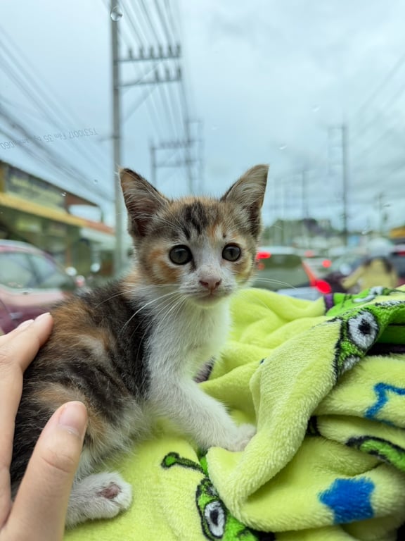 ยังไม่มี