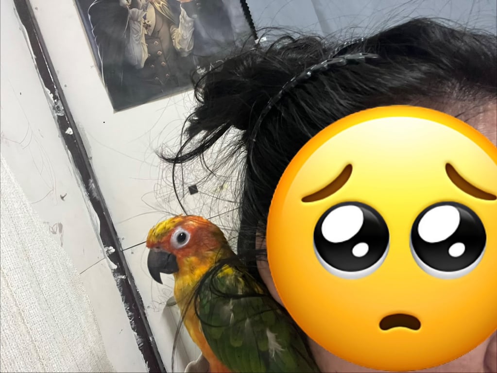 น้องถั่ว