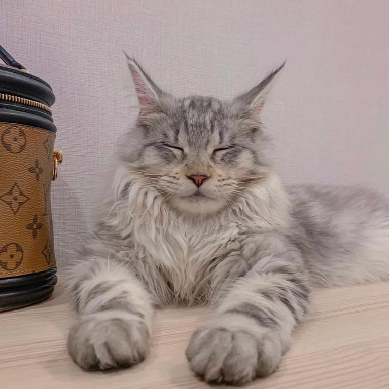หงอคง