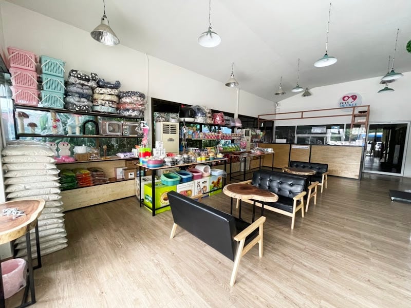 คลินิกรักษาสัตว์เพ็ทส์ดีกรี - Pets Degree Clinic