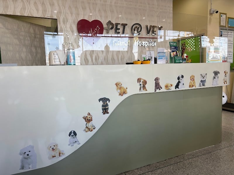 โรงพยาบาลสัตว์เพ็ทแอทเว็ทระยอง Pet at Vet animal Hospital Rayong