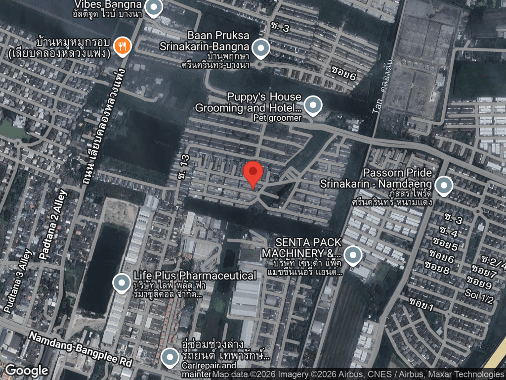 สถานที่หายของน้องเลมอน