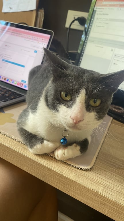 โชคชัย