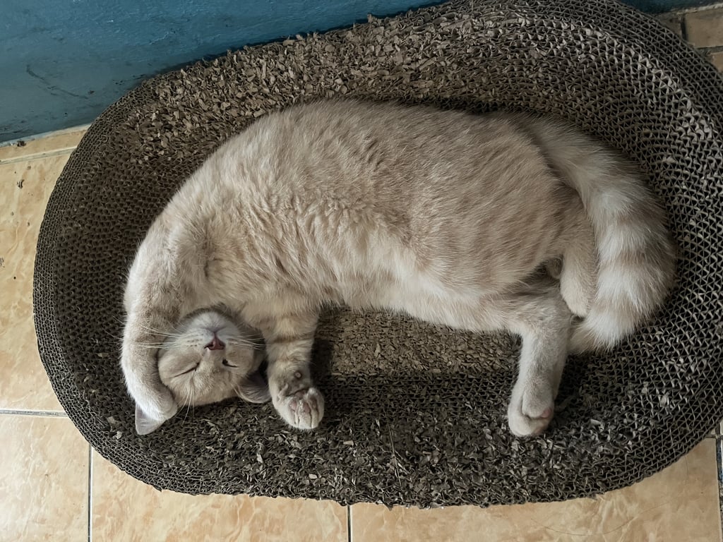 รวยๆ