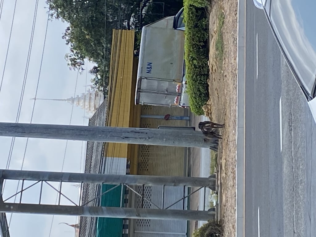 ตามหาเจ้าของหมา พบที่เกาะกลางถนน หน้าโรงพยาบาล กรุงเทพ-พัทยา