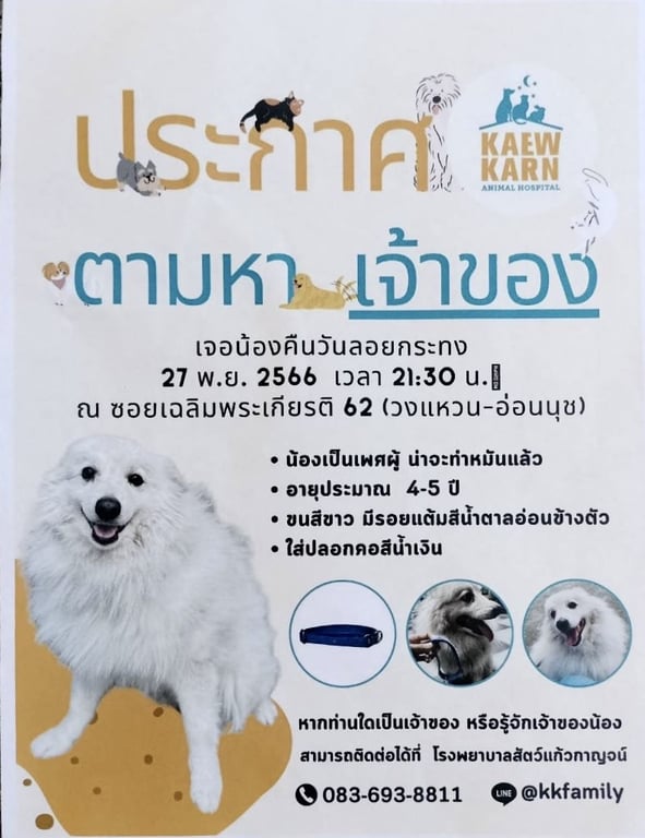 ตามหาเจ้าของหมา 