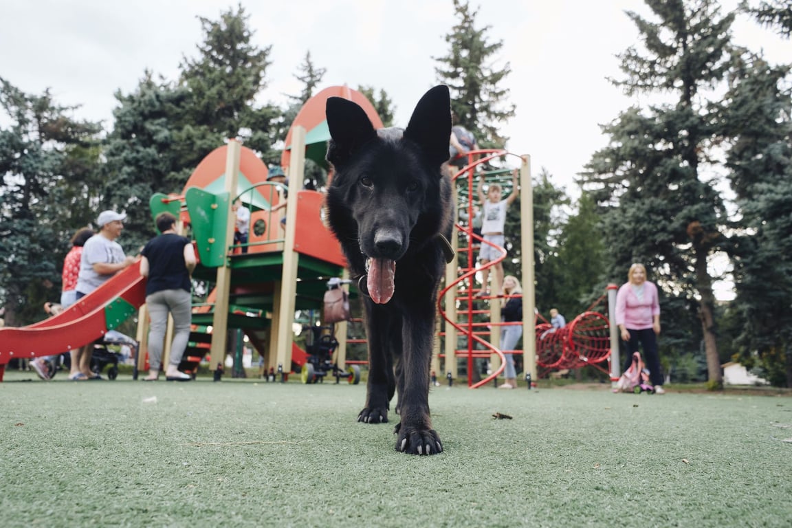 Pet Parq Play Day สวนสัตว์เลี้ยงลอยฟ้าแห่งใหม่ในใจกลางเมือง
