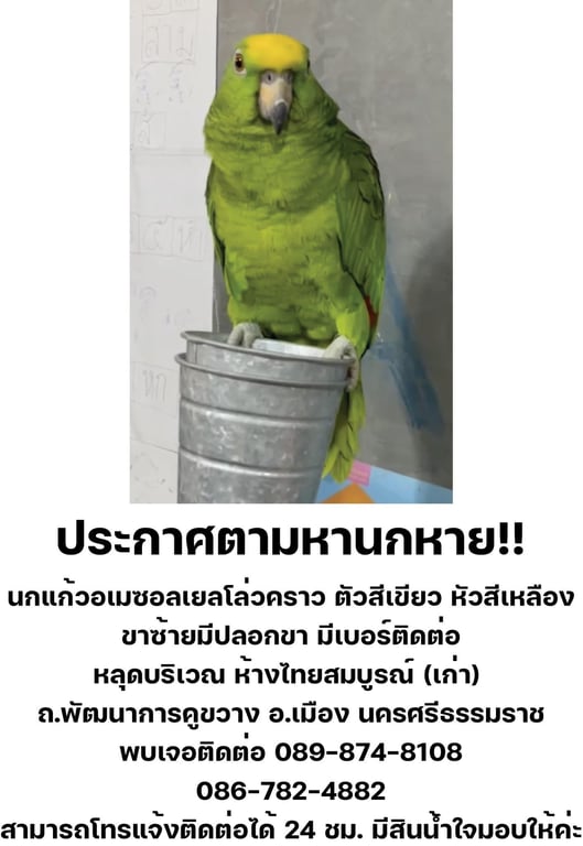สายไหม