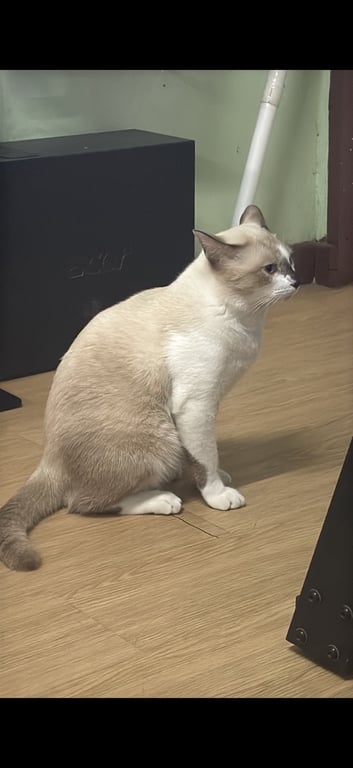 ถุงเงิน