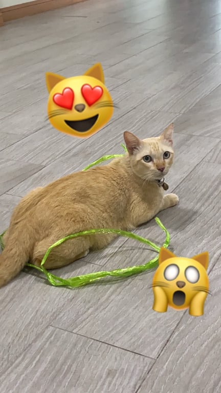 recent-posts-img