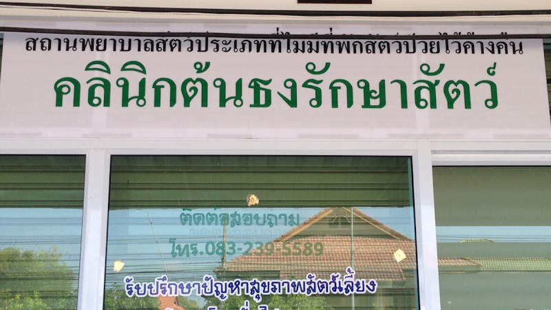คลินิกต้นธงรักษาสัตว์