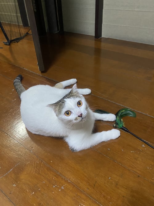 ถุงเงิน