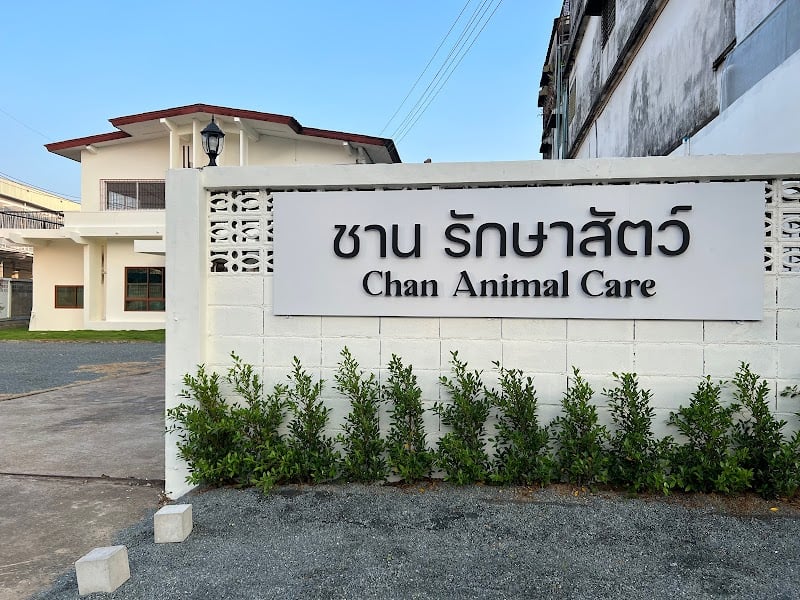 ชาน รักษาสัตว์ Chan Animal Care