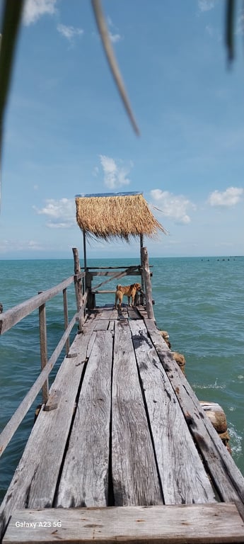 บ้านชิดทะเล ด่านใหม่ เกาะช้าง