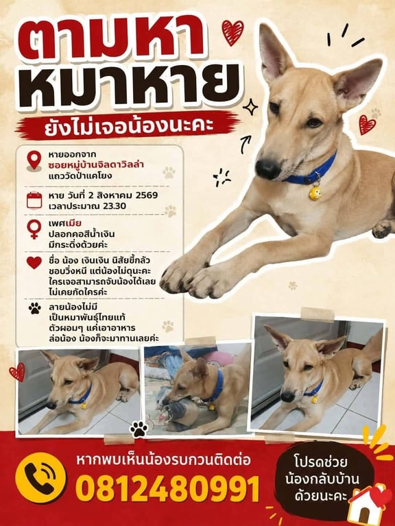 น้องเงินๆ