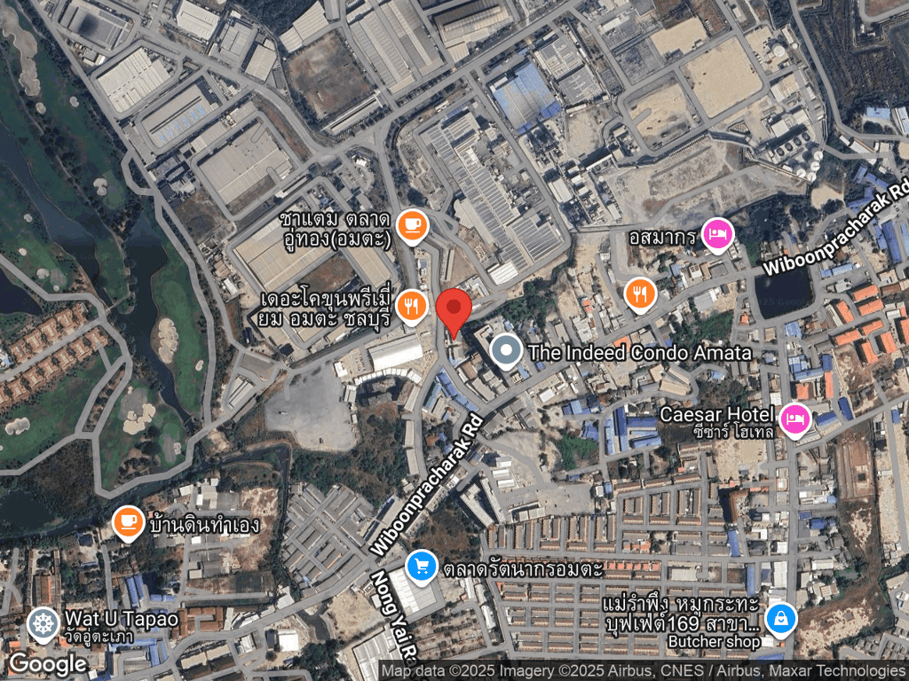 สถานที่หายของหมี