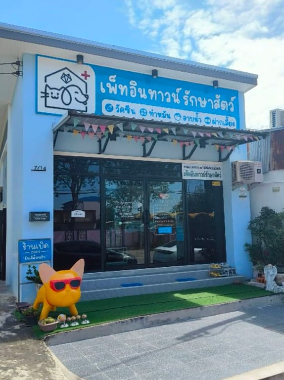 เพ็ทอินทาวน์รักษาสัตว์