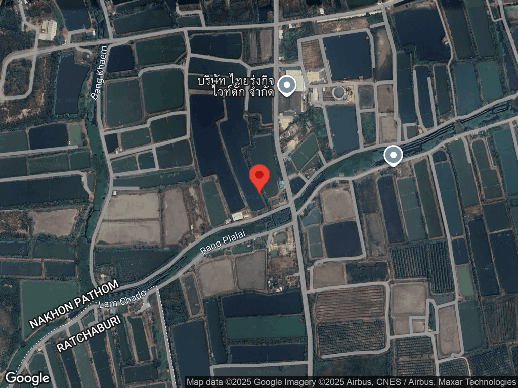 สถานที่หายของโมจิ