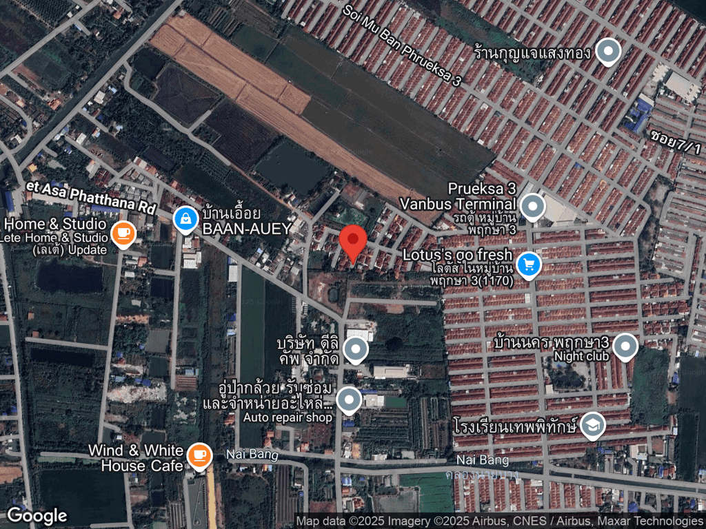 สถานที่หายของไก่เน่า