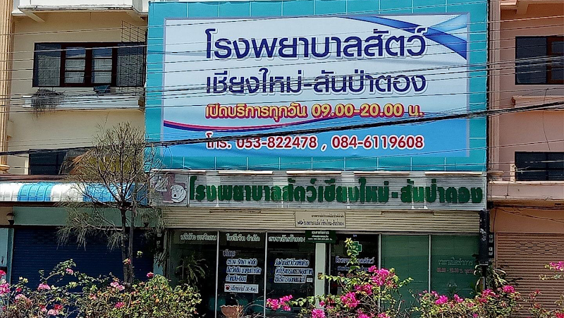 โรงพยาบาลสัตว์เชียงใหม่-สันป่าตอง