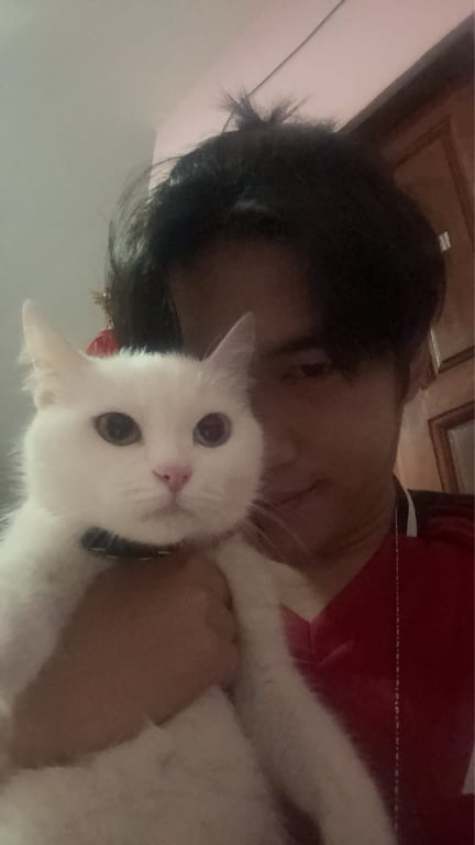 อาเนีย