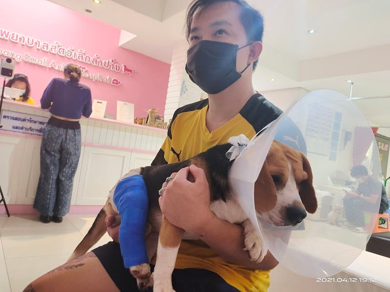 โรงพยาบาลสัตว์เล็กลำปาง